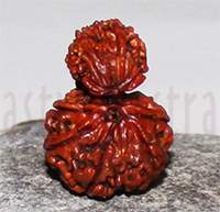 G S Rudraksh  63- 28mm